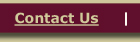 Contact Us page
